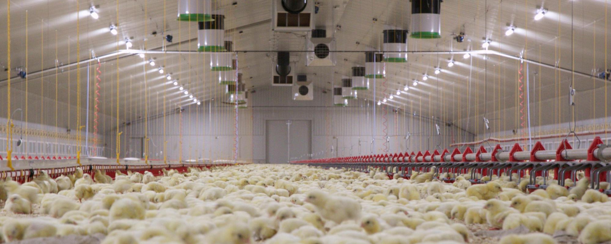 The importance of minimum ventilation