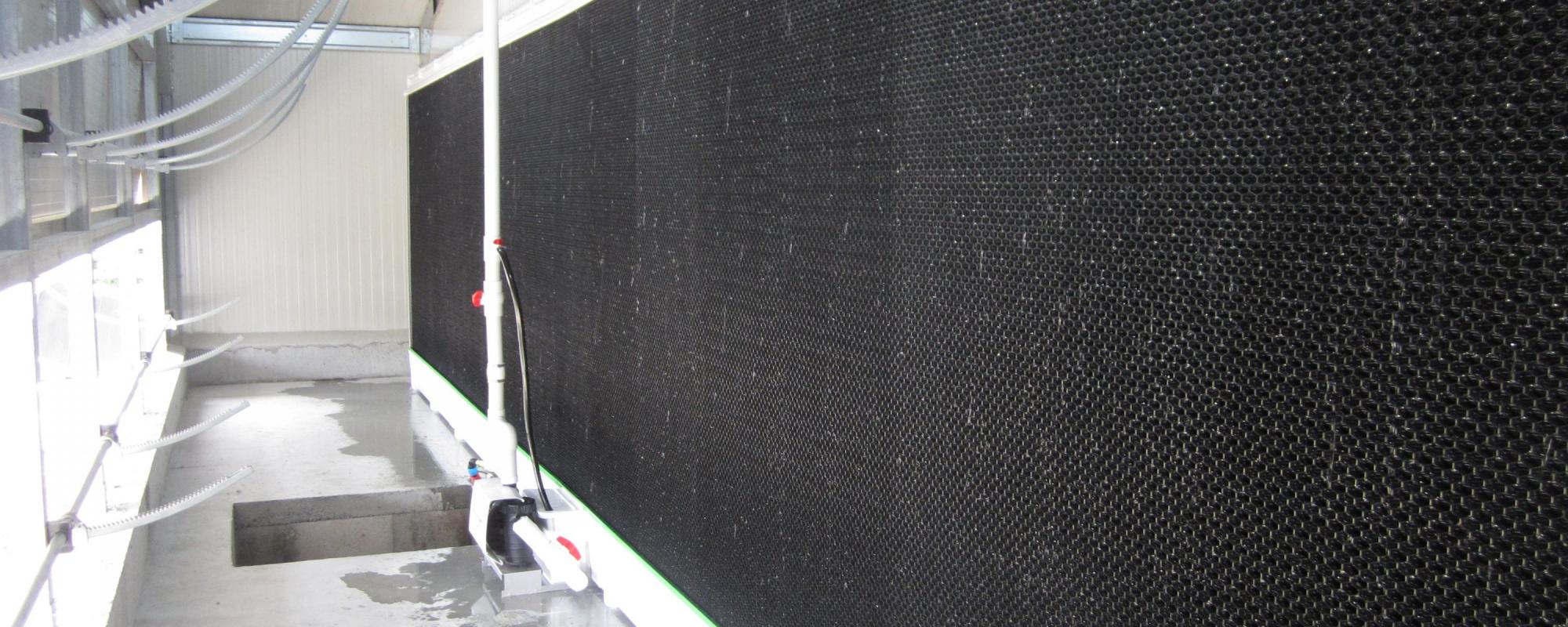 Efficient cooling improves animal performance