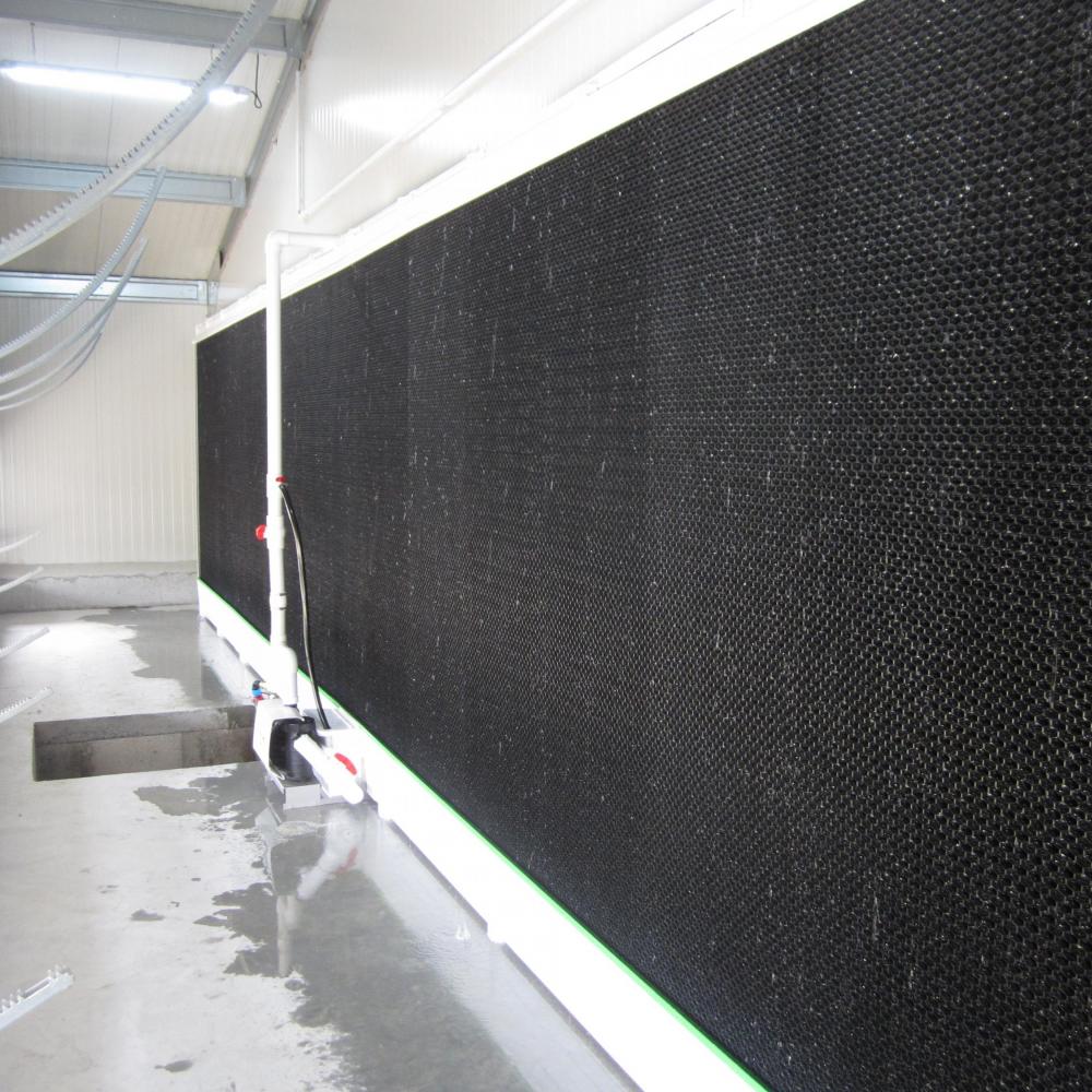 Efficient cooling improves animal performance
