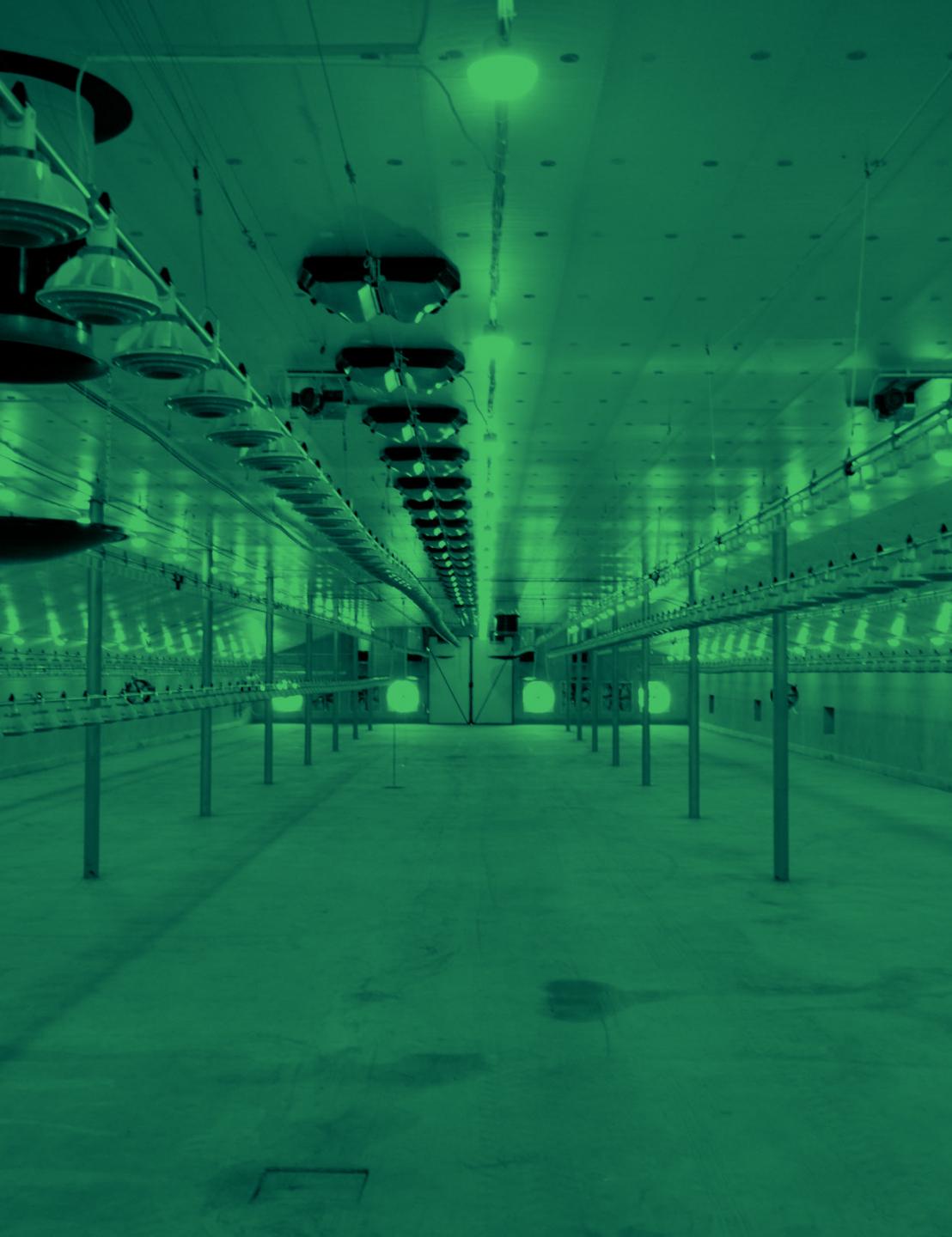 Fantura ceiling inlet system for Cecelski poultry house