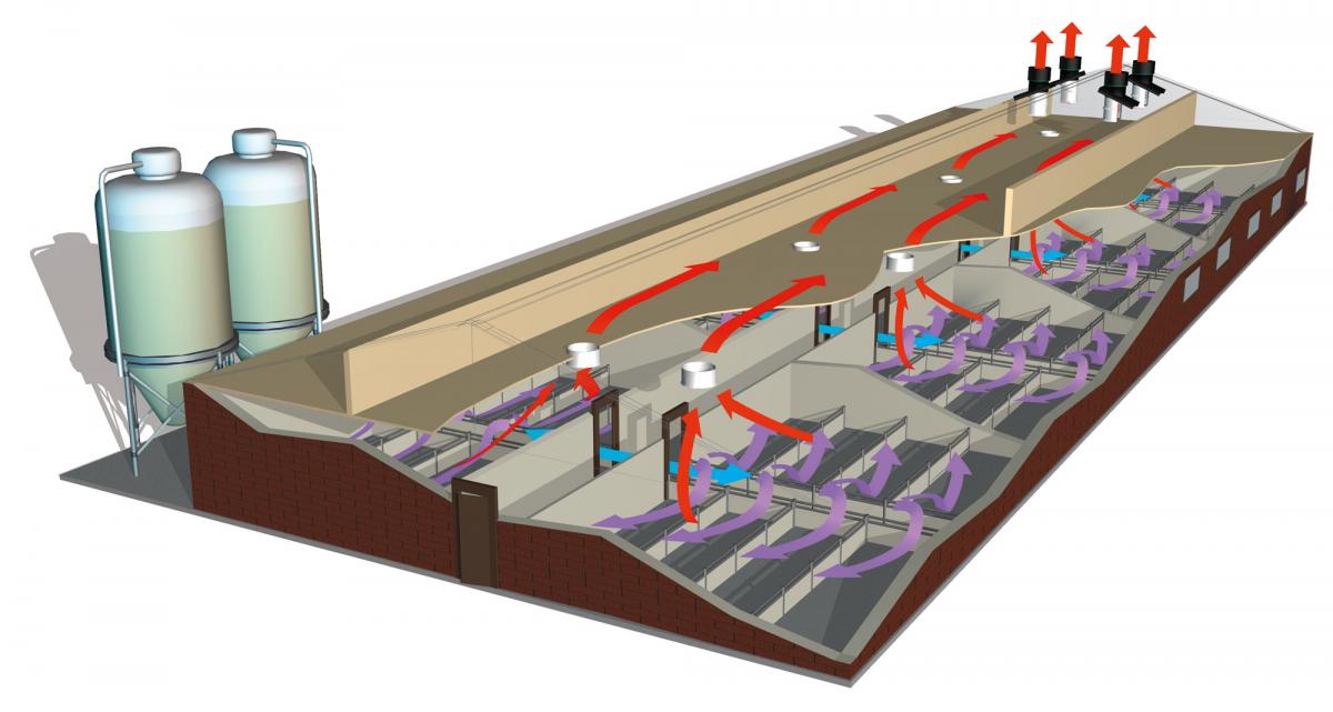 CentralFlow.jpg
