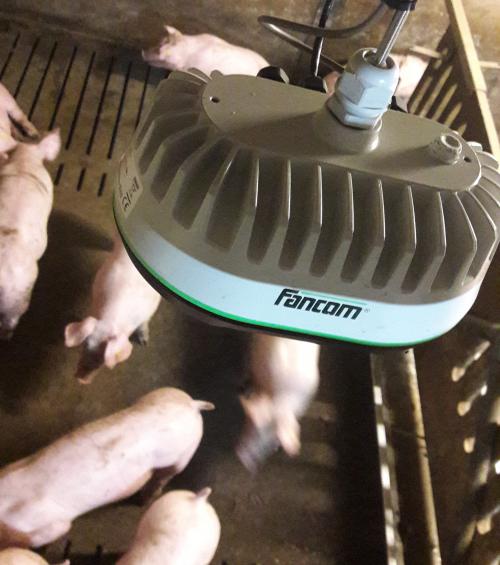 Automatic weighing of finishers