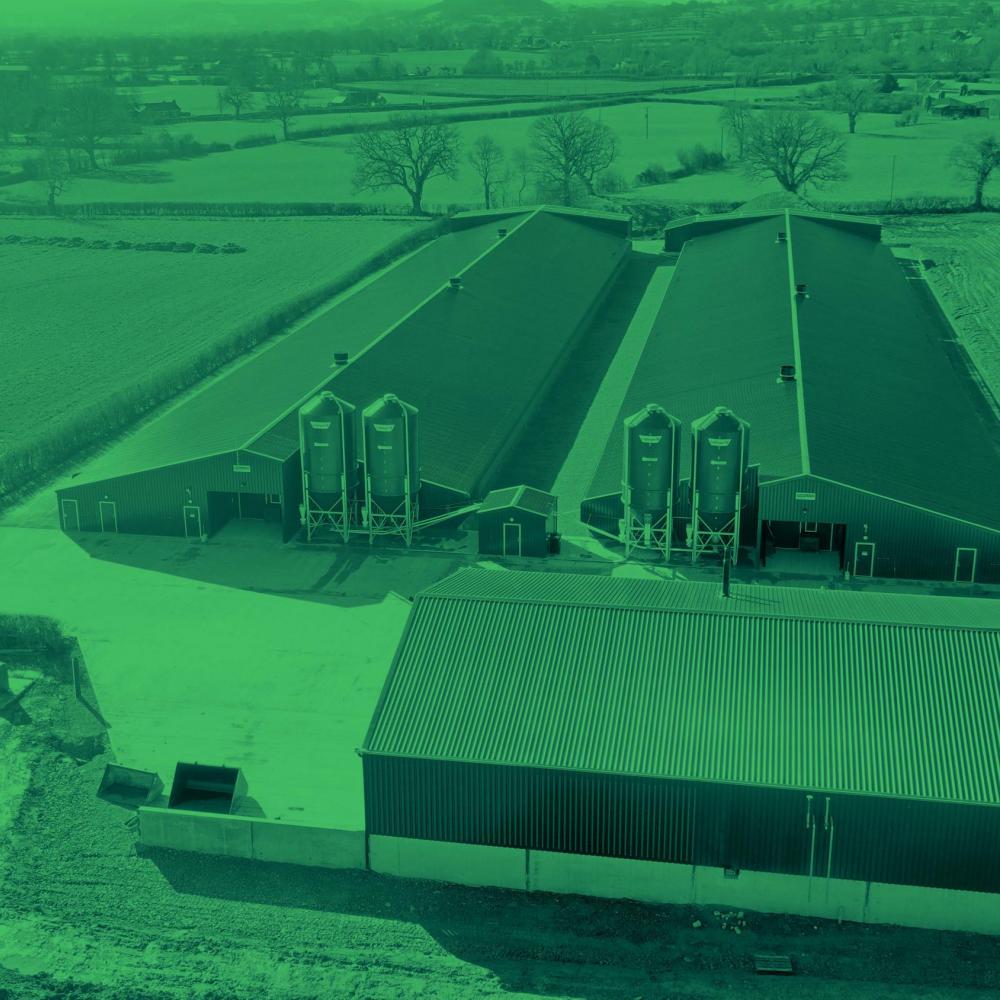 New energy efficient poultry farm UK first for our distributor JF McKenna Ltd.