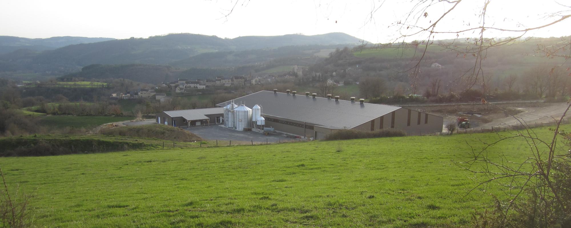 A comfortable environment for Roquefort cheese production