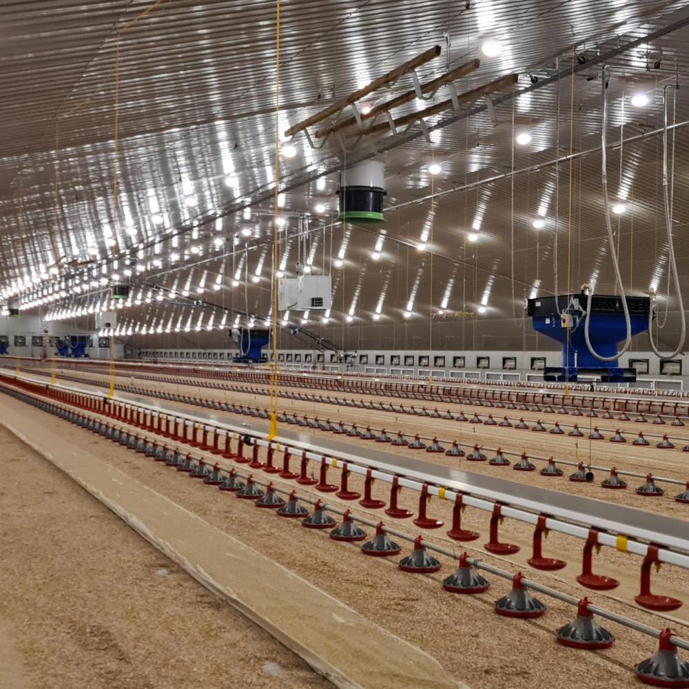 Better animal performance with flexible light control