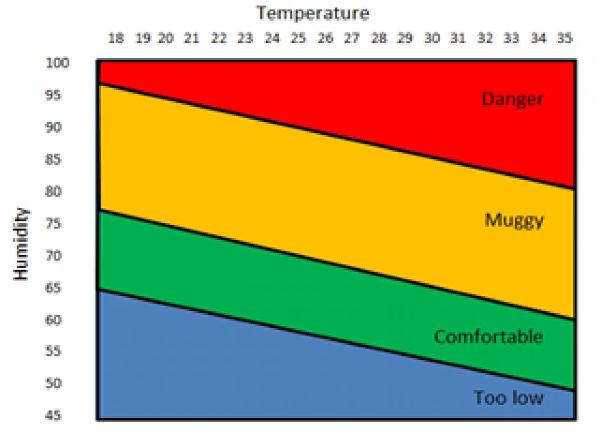 Ideal temperature for poultry farm