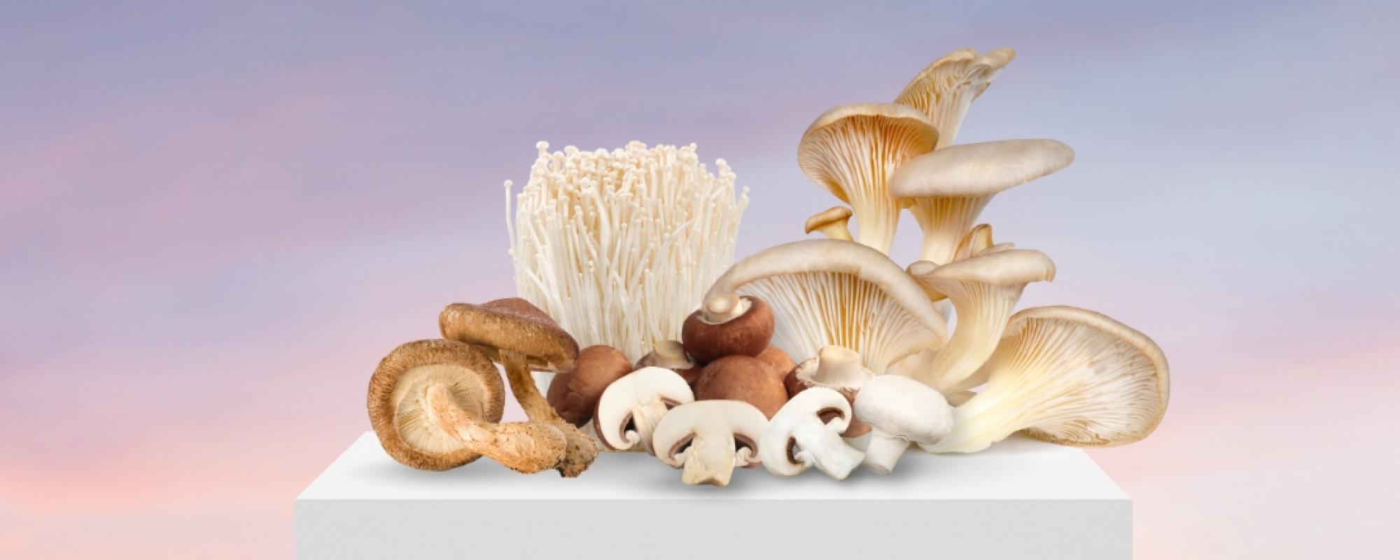 Mushrooms