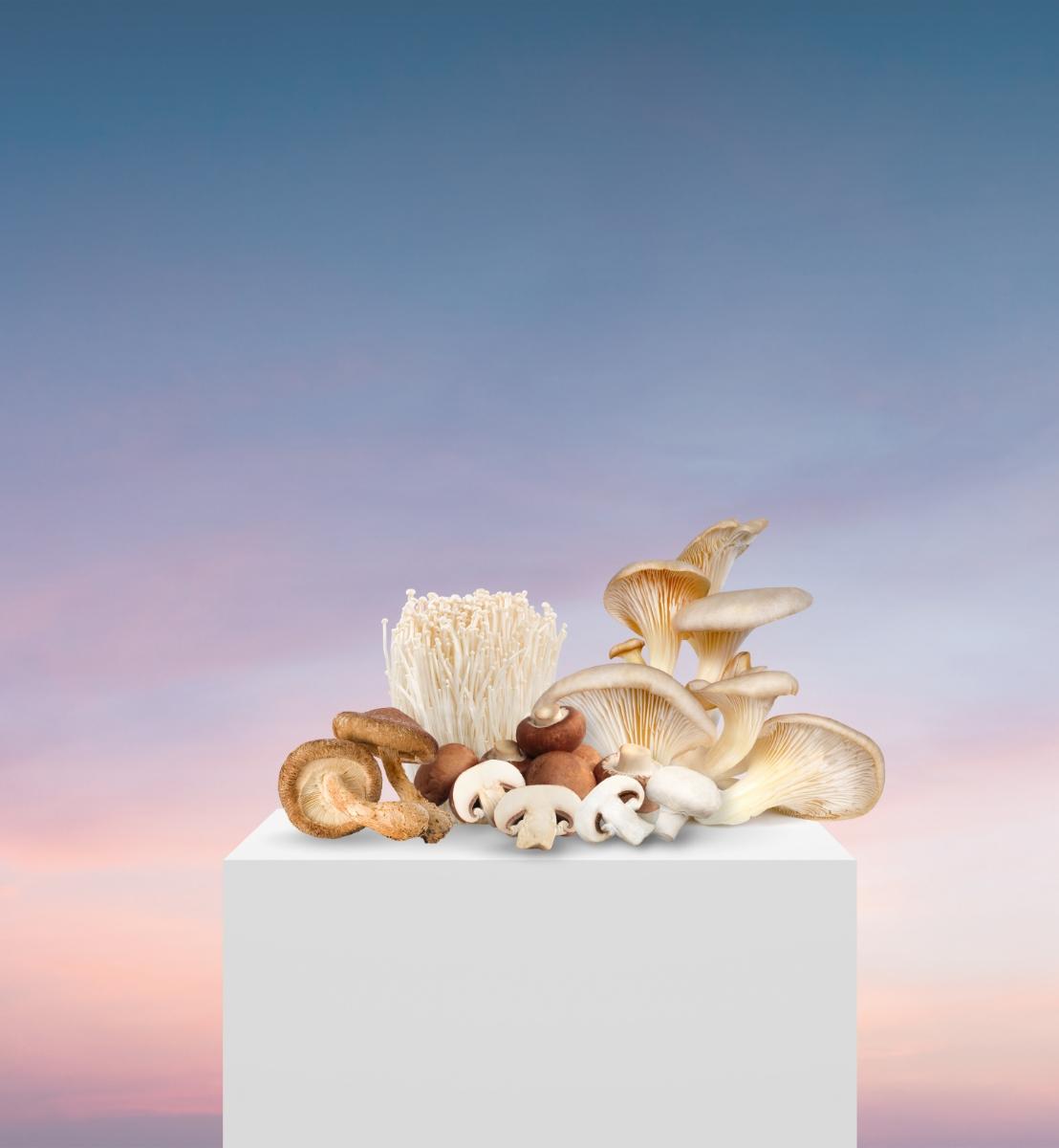 Mushrooms