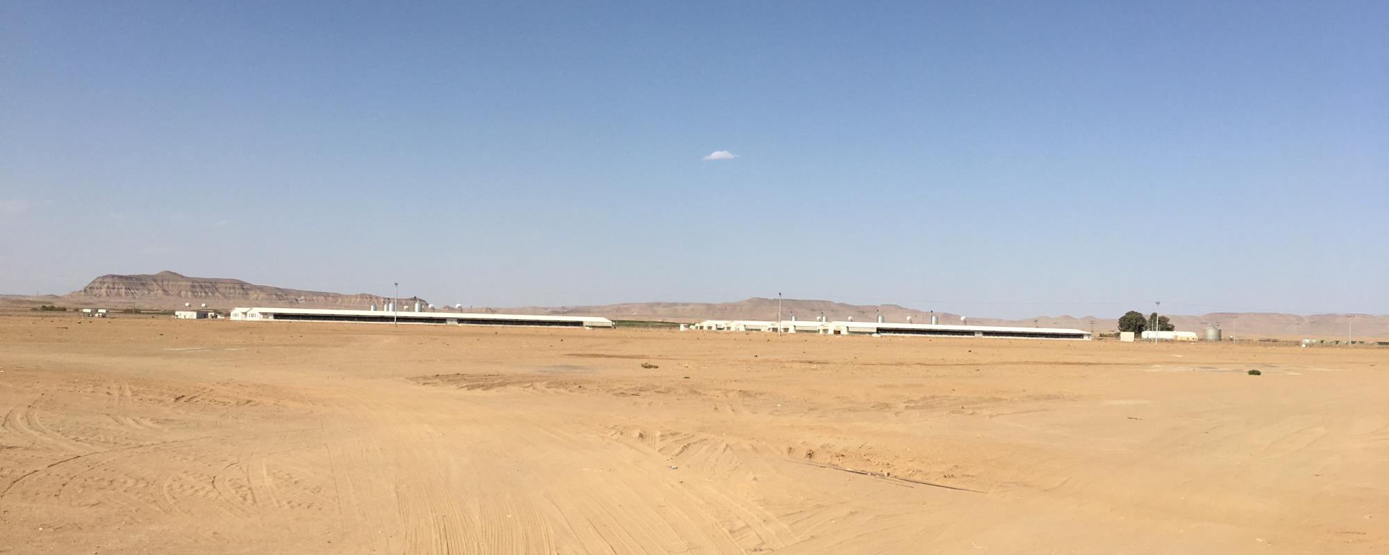 Cool houses in hot climates