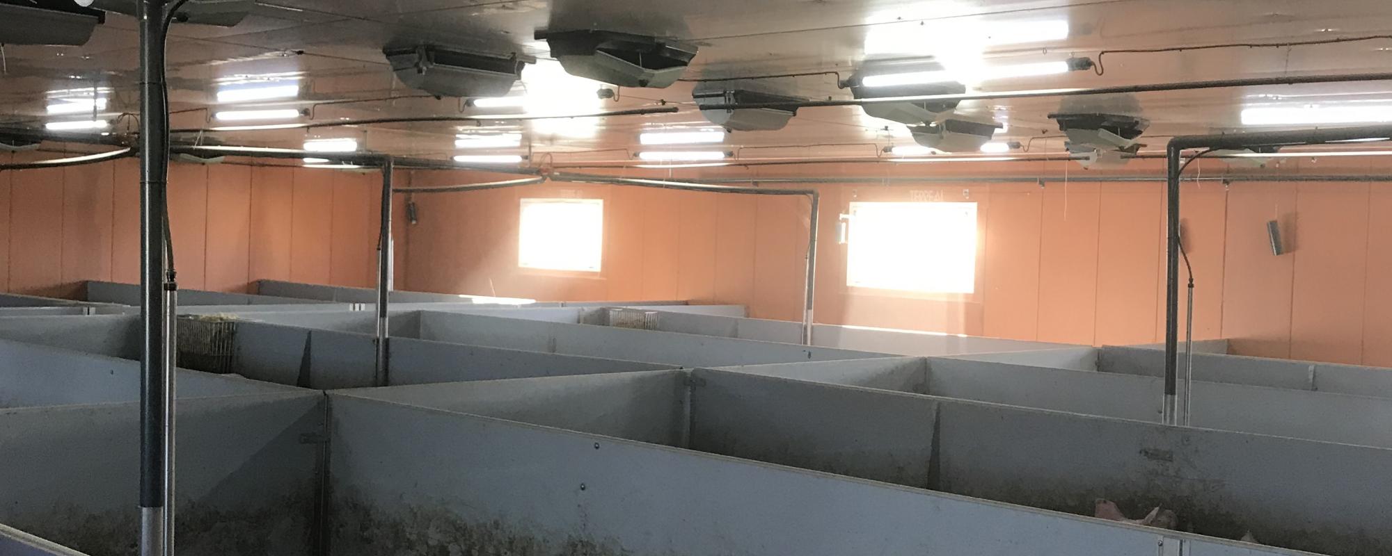 New Fantura ceiling inlet for better animal performance