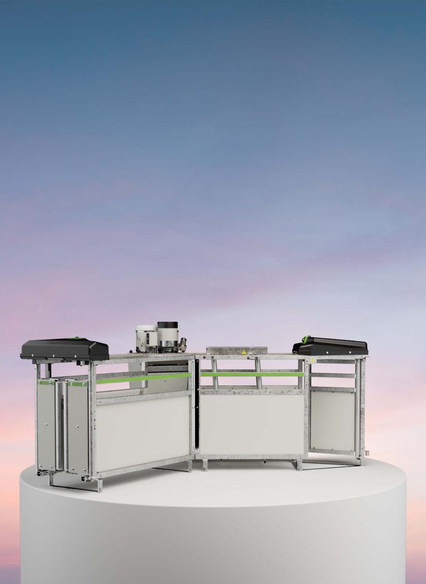 Automatic feeding