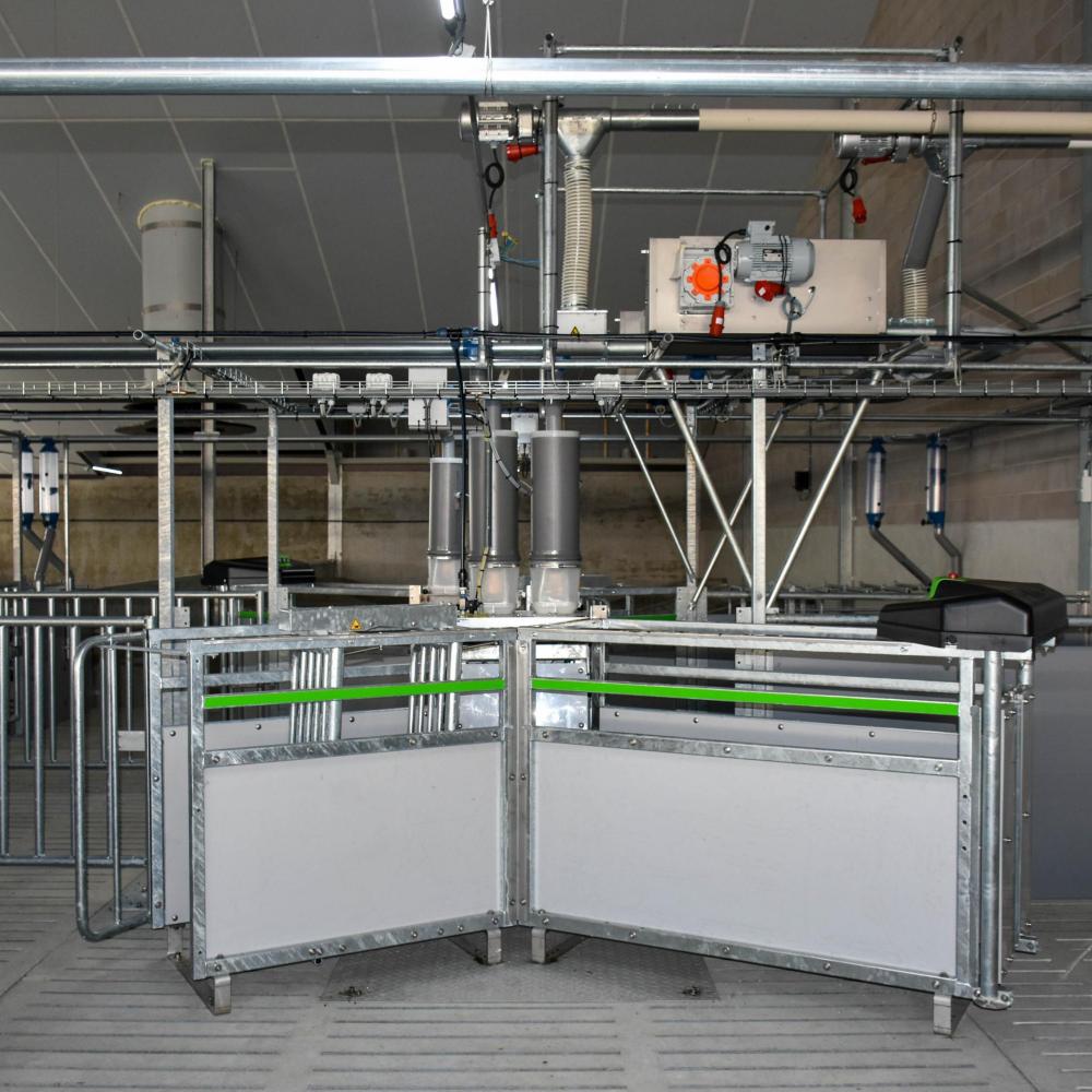 Reduce feed costs with farm automation