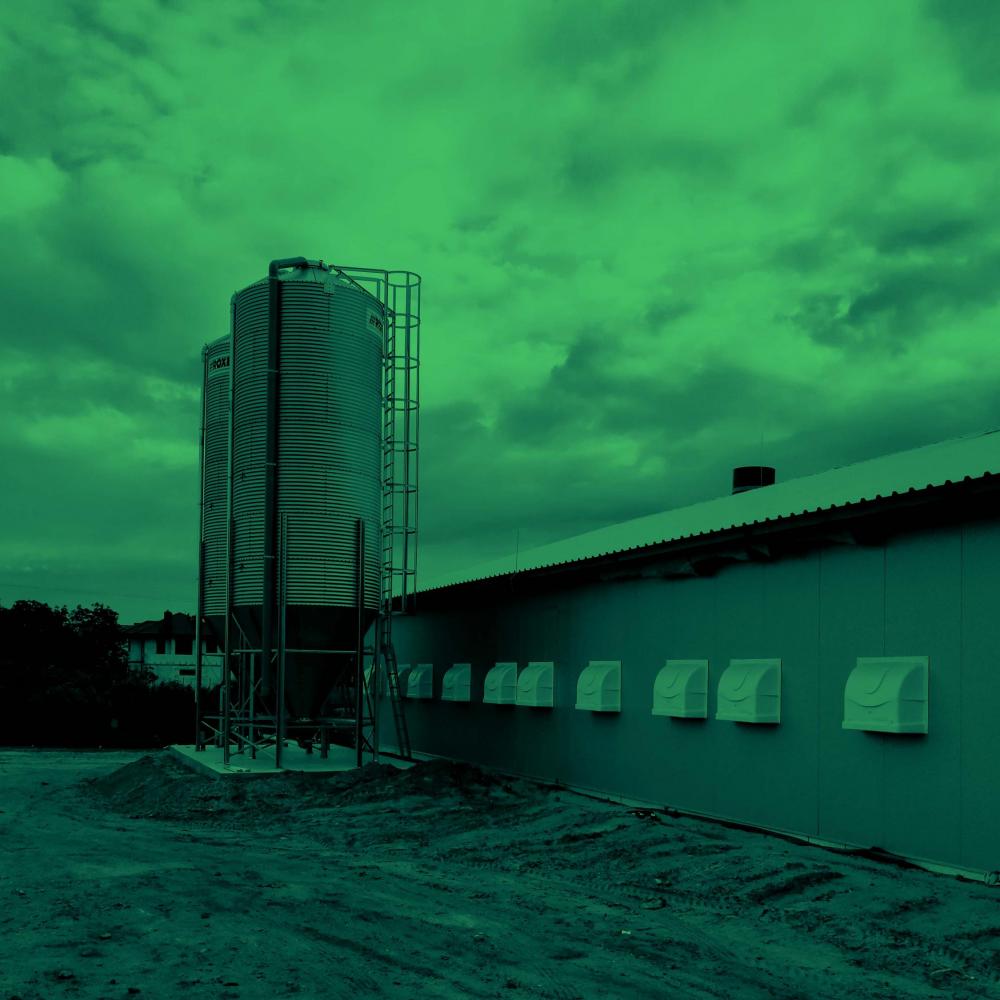 New broiler farm in Poland