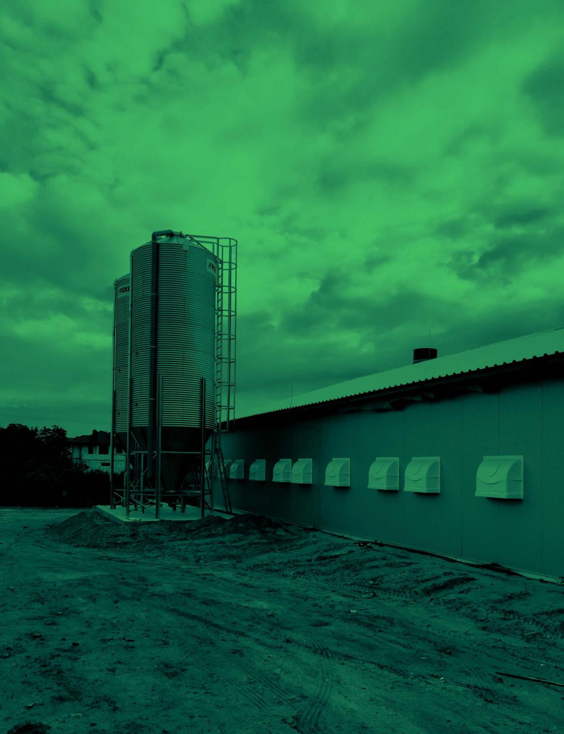 New broiler farm in Poland