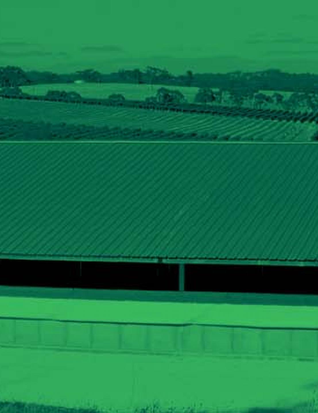 Metrowest expands activities in Australian pig industry