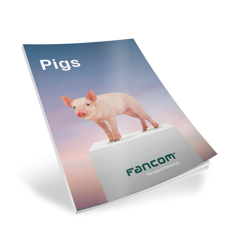 FAN_BROCH_PIGS.png
