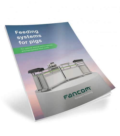 Feeding systems for pigs